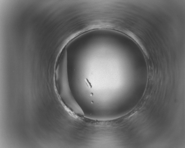 X0000058830861200510071819