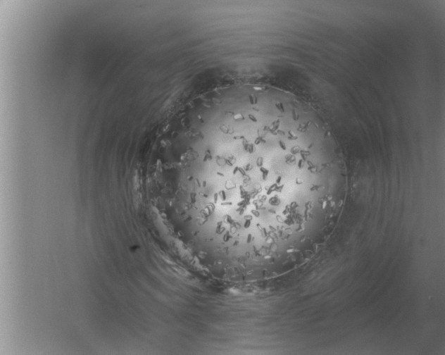 X0000058830866200510071818