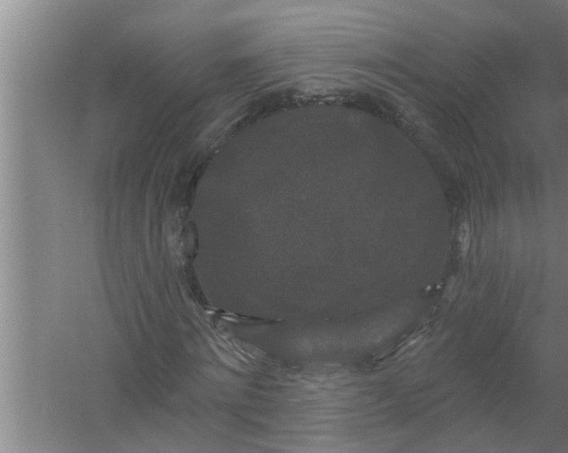 X0000058830868200510071818