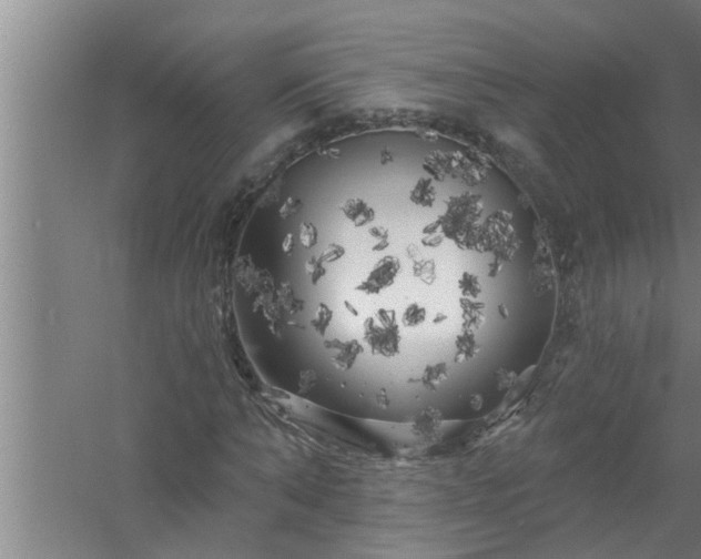 X0000058830870200510071818