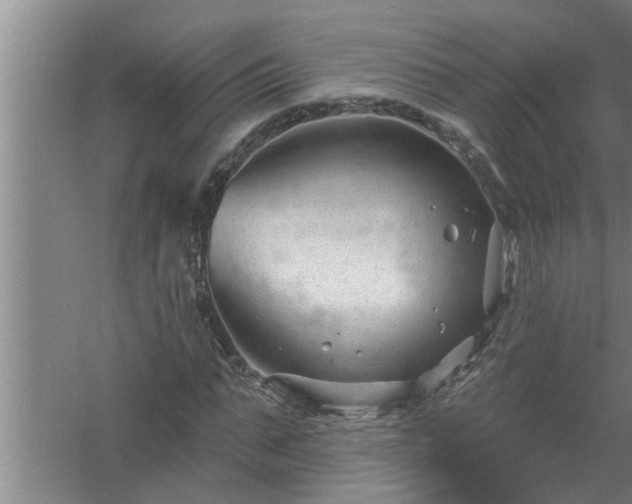 X0000058830871200510071818