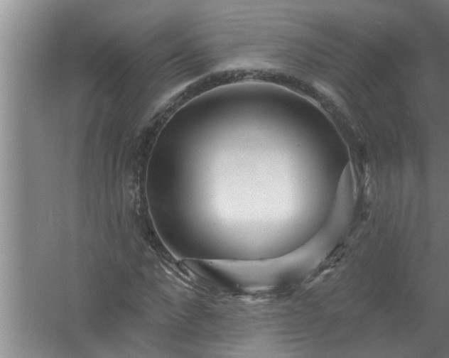 X0000058830872200510071818