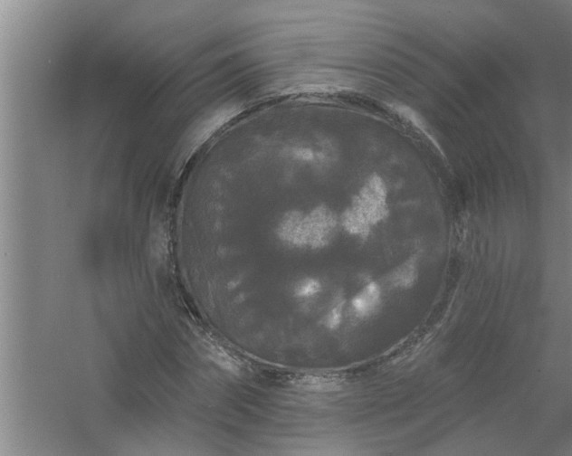 X0000058830874200510071818