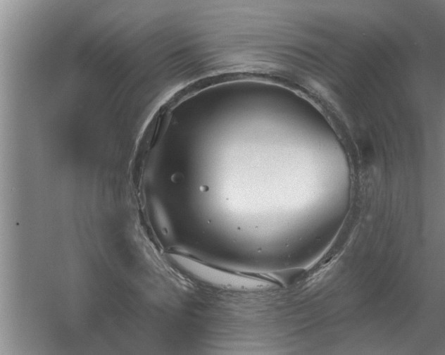 X0000058830875200510071818