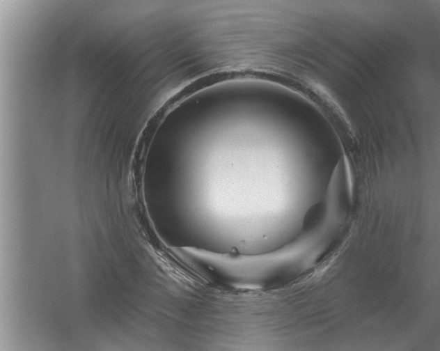 X0000058830876200510071818