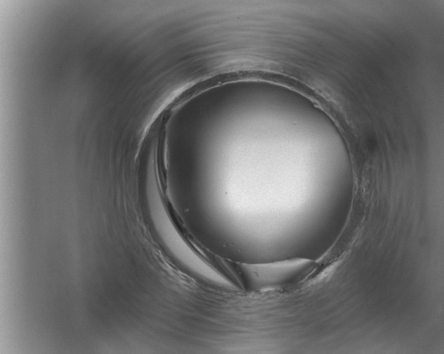 X0000058830877200510071818