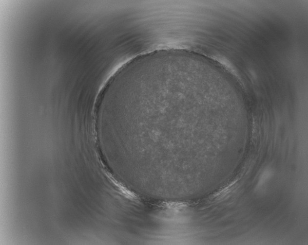 X0000058830878200510071818