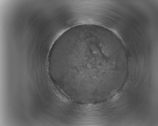 X0000058830879200510071818