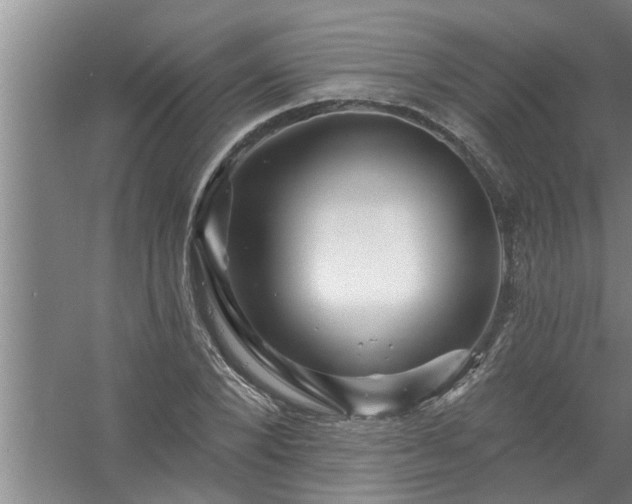 X0000058830880200510071818