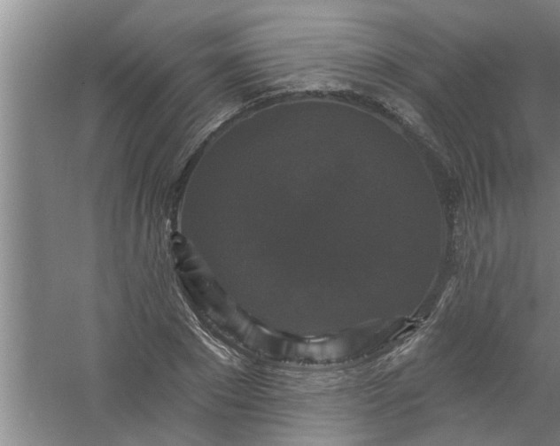 X0000058830881200510071818