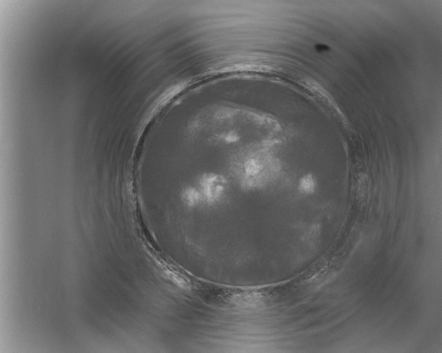 X0000058830882200510071818