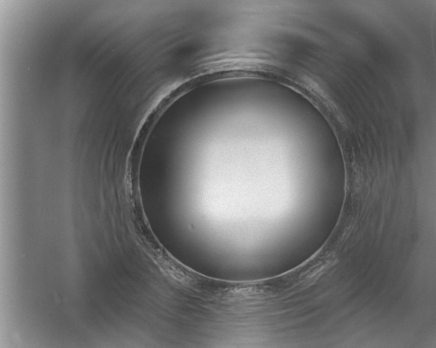 X0000058830883200510071818