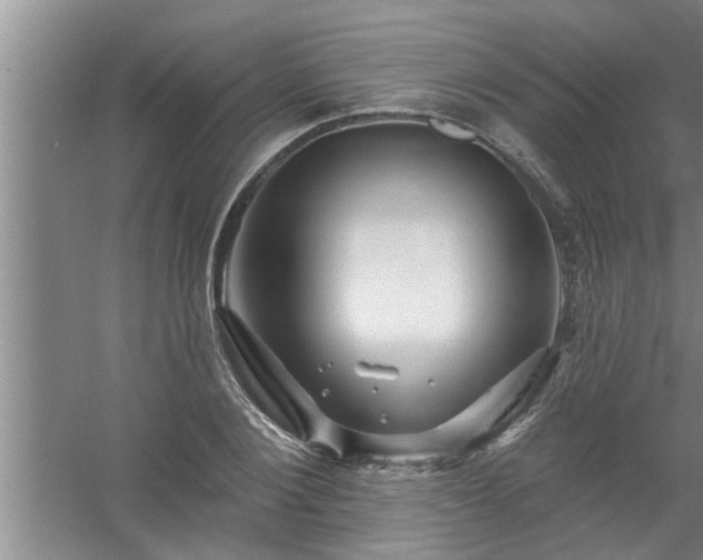 X0000058830884200510071818