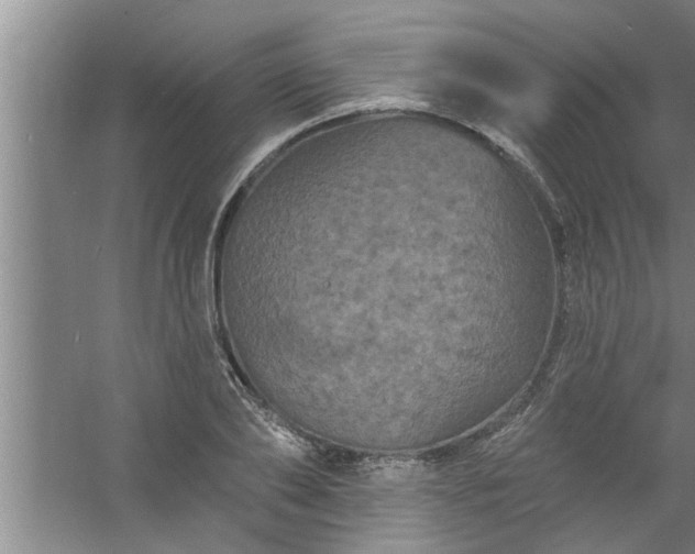 X0000058830886200510071818