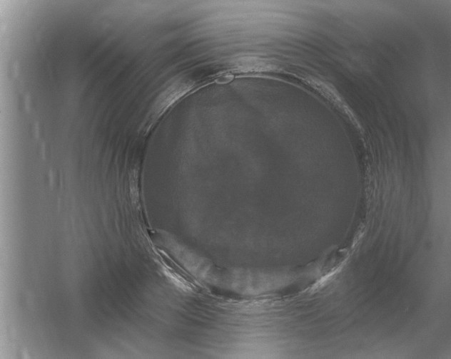 X0000058830889200510071818