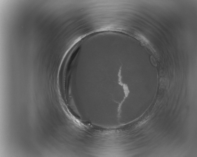 X0000058830892200510071818