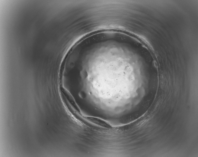 X0000058830895200510071818