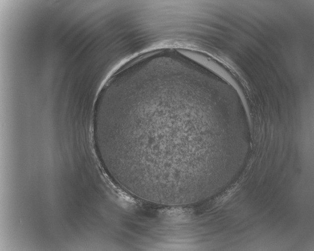 X0000058830896200510071818