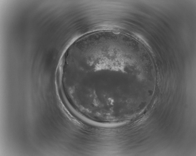 X0000058830899200510071818