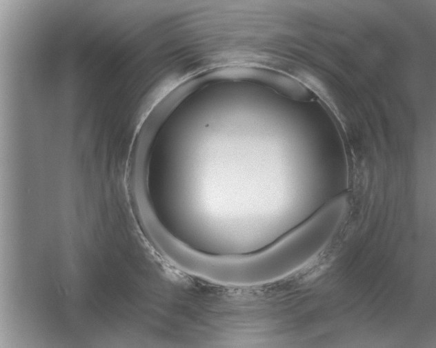 X0000058830901200510071818