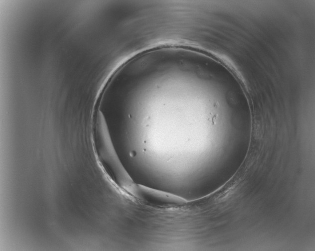 X0000058830903200510071818