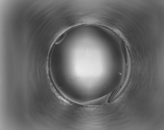 X0000058830904200510071818