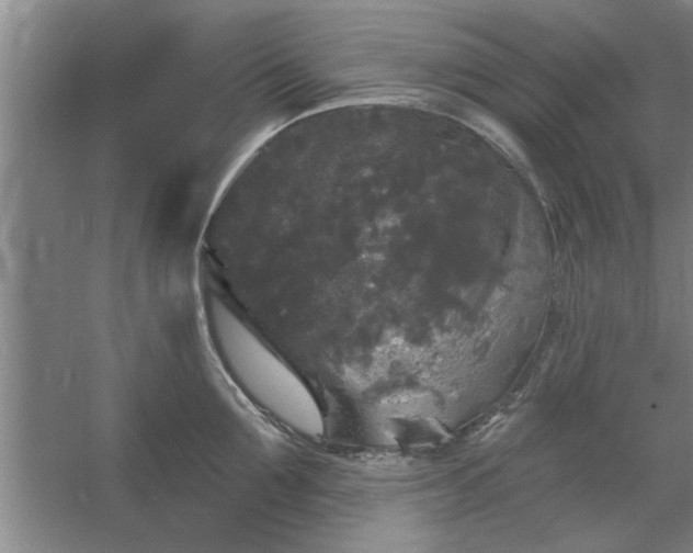 X0000058830907200510071818