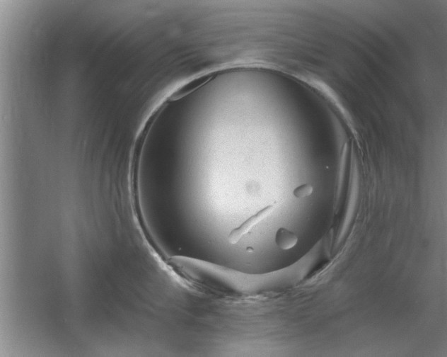 X0000058830910200510071818