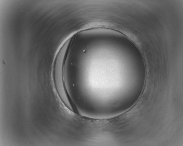 X0000058830912200510071818