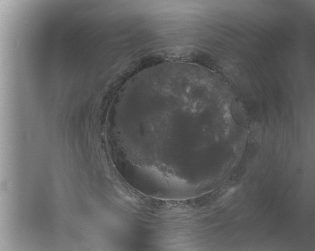 X0000058830913200510071817