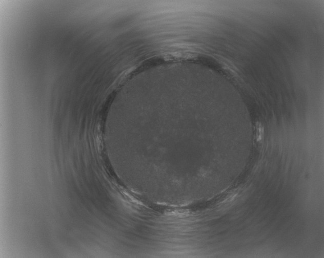 X0000058830915200510071817