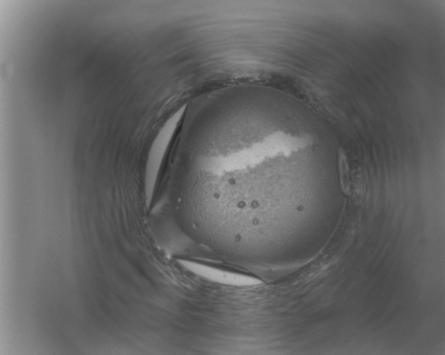 X0000058830916200510071817