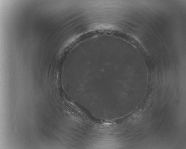 X0000058830919200510071817