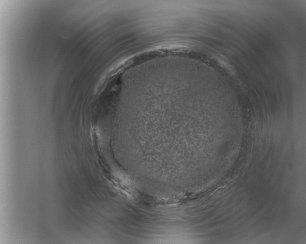 X0000058830920200510071817