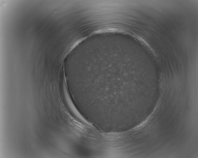 X0000058830921200510071817