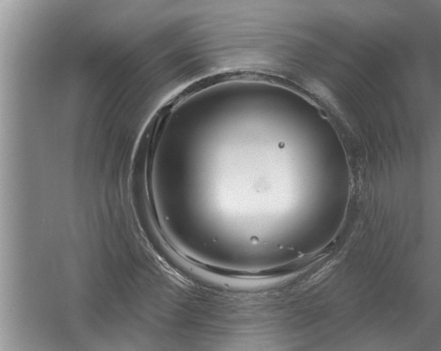 X0000058830924200510071817