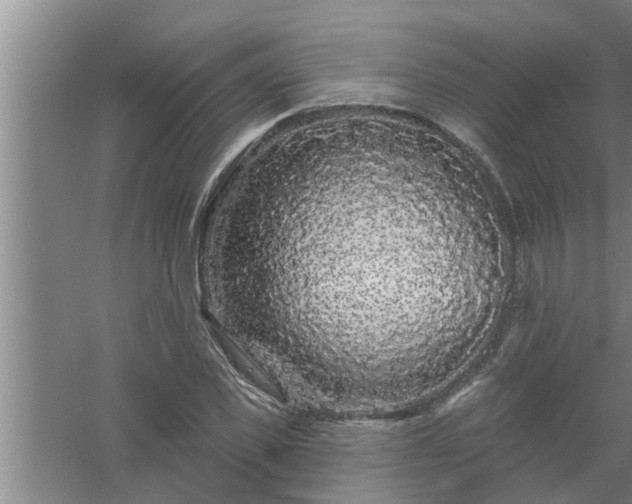 X0000058830925200510071817