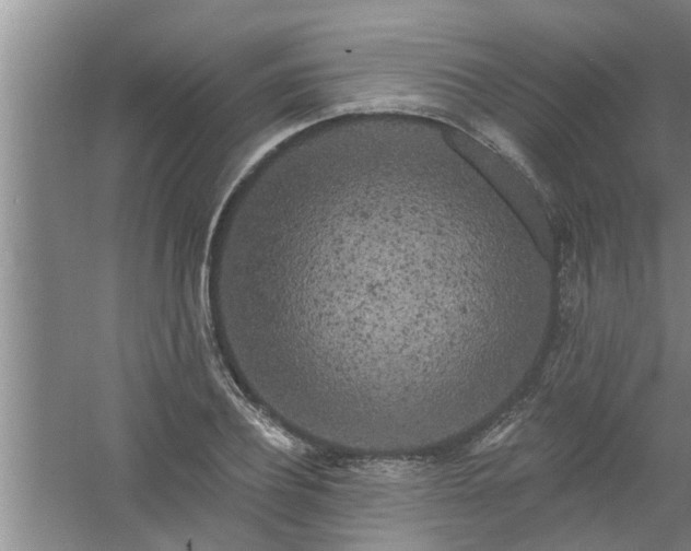 X0000058830932200510071817