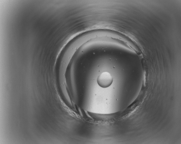 X0000058830934200510071817