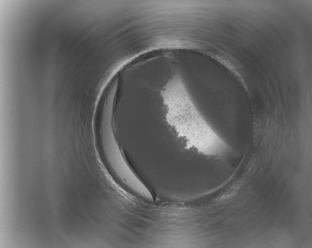 X0000058830935200510071817