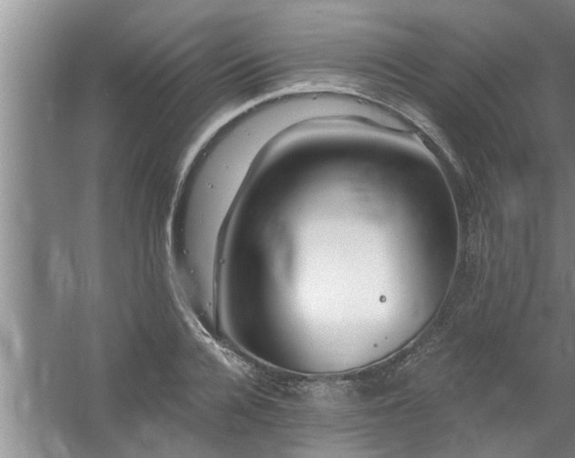 X0000058830936200510071817