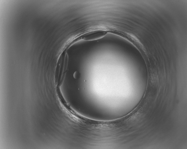 X0000058830938200510071817