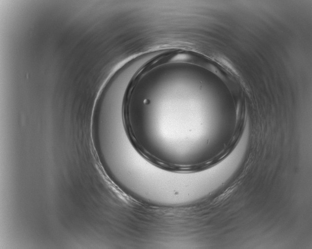 X0000058830940200510071817