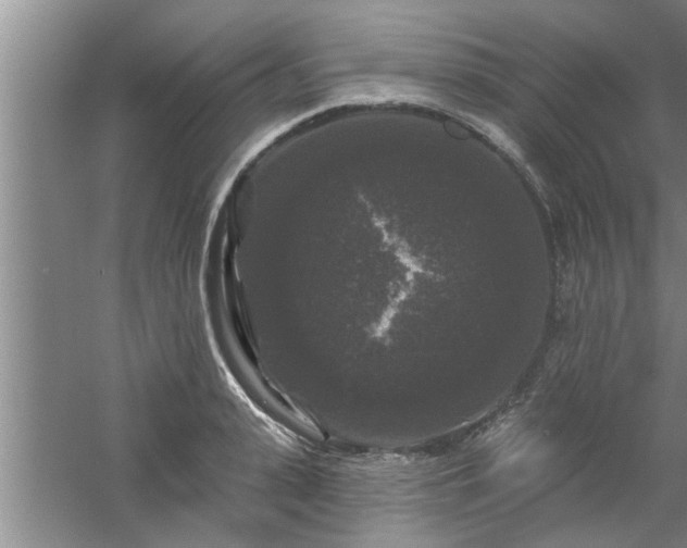 X0000058830943200510071817