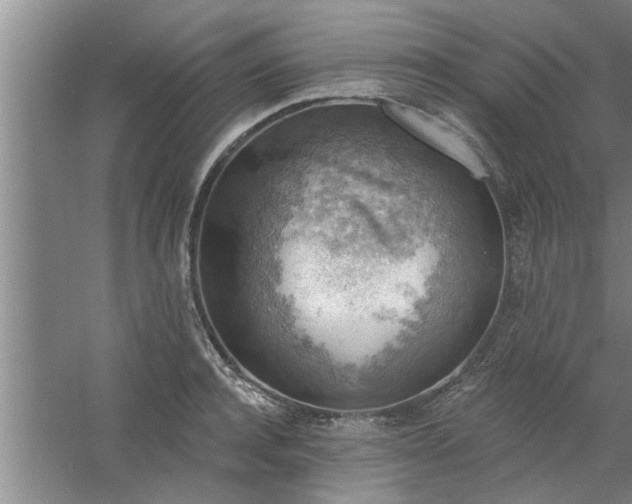 X0000058830944200510071817