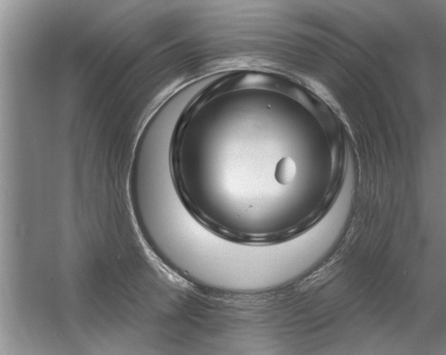 X0000058830946200510071817