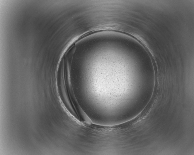 X0000058830949200510071817