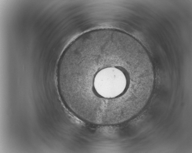 X0000058830950200510071817