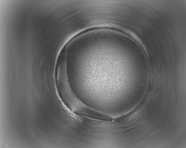 X0000058830951200510071817