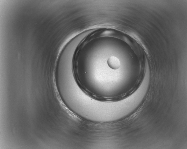 X0000058830952200510071817